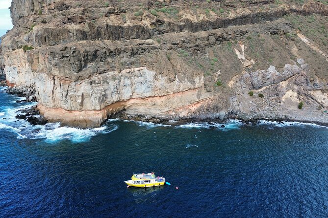 1h Boat Trip + 2h Dockside Local Wine & Food Tasting - Seeing Mogán from the return route