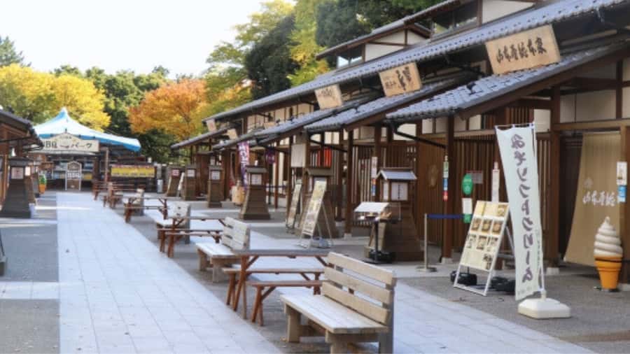2.5-Hour Nagoya Tour: Castle History, Local Food & City View - Kinshachi Yokocho turns history into lunch ideas