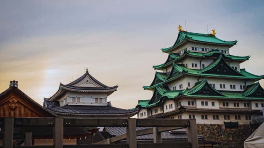 2.5-Hour Nagoya Tour: Castle History, Local Food & City View - Timing, meeting points, and the practical details