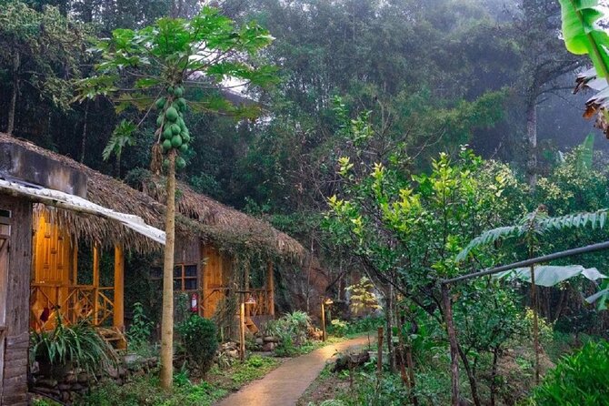 2-Day SAPA Trekking - Villages-Homestay-Ethnic-Local Food-Market - Breakfast, bamboo forest, and Giang Ta Chai