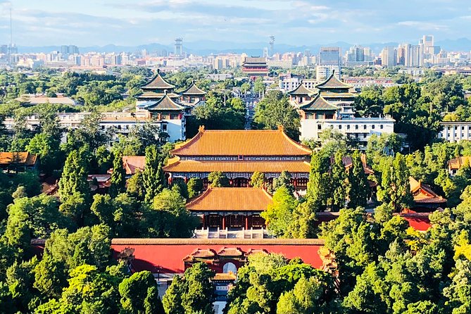 4-Hour Private Tour: Jingshan Park, Hutong & JinDing Xuan Dim Sum - The guide and private format