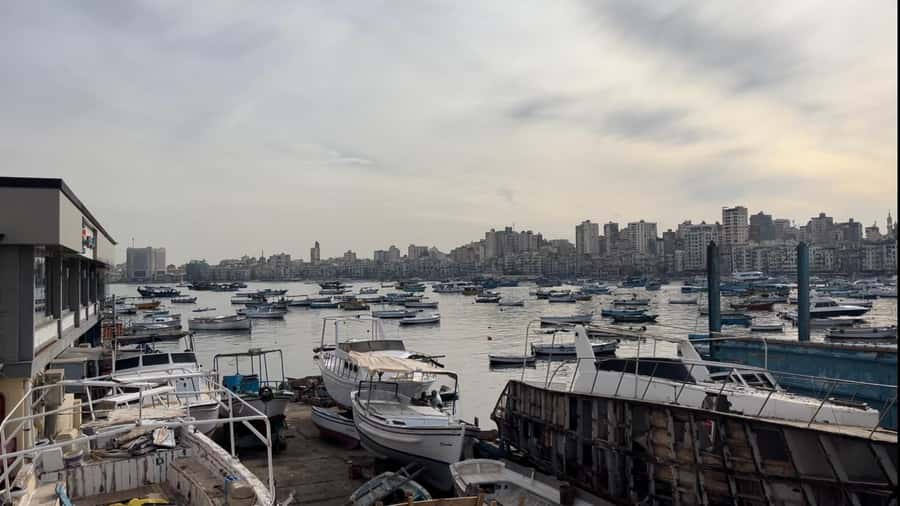 Alexandria Historian-Guided Tour with Local Food Tasting - Greek and Roman Museum: start with the city’s long timeline