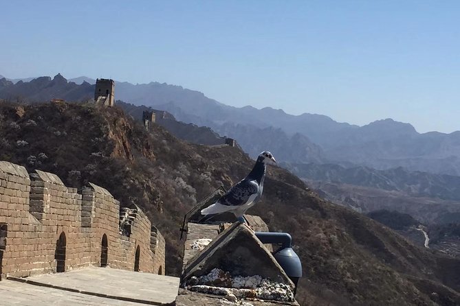 All-Inclusive Private Mutianyu Great Wall Day Tour with Dumpling Lunch - Two to three hours walking on the wall