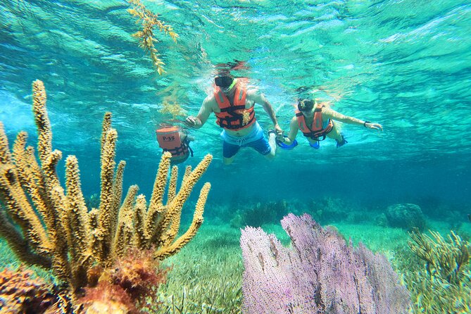 Amazing Snorkeling Experience + Real Mexican Tacos - Puerto Morelos gives the trip its character