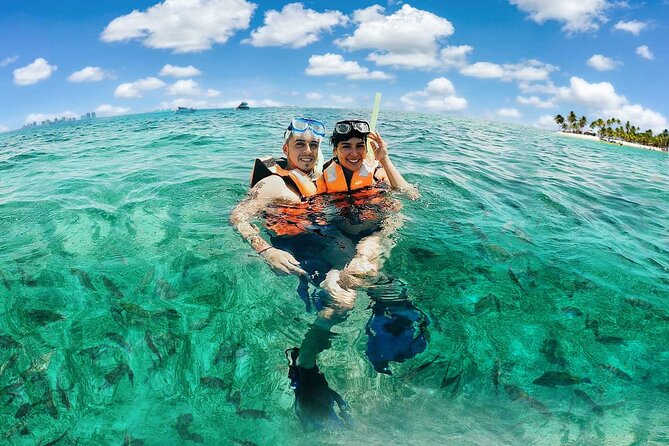 Amazing Snorkeling Experience + Real Mexican Tacos - What happens at the reef
