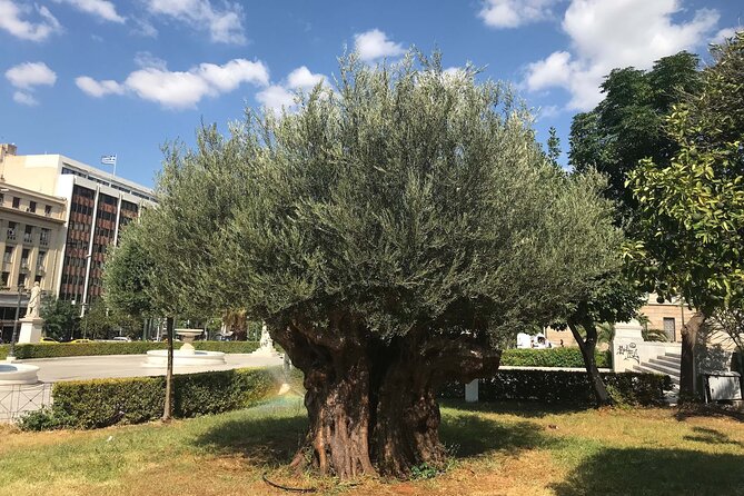 Athens by E-Bike: Monuments, Food & Transfers (Cruise Tour) - The food stop and local flavor