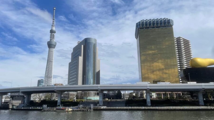 Awesome Private Tour: Tsukiji, Asakusa, Shinjuku, Shibuya - Key points before you book