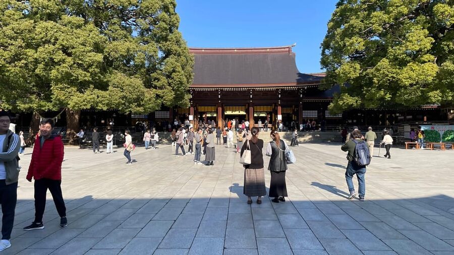 Awesome Private Tour: Tsukiji, Asakusa, Shinjuku, Shibuya - Akihabara and Ueno: pop culture beside old Tokyo