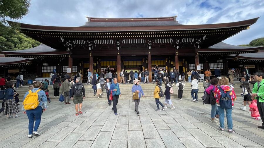 Awesome Private Tour: Tsukiji, Asakusa, Shinjuku, Shibuya - Omoide Yokocho, Kabukicho, and Golden Gai after dark