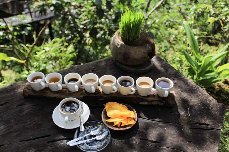 Bali: Authentic Culinary Street Food Experience Tour - Noon pickup and a full eight-hour route