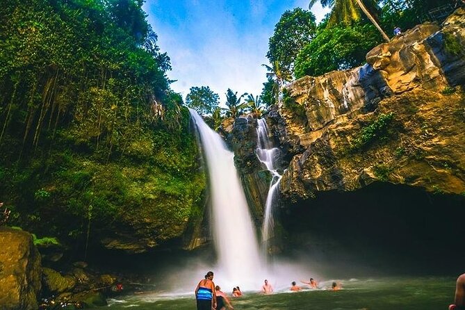 Bali Night Market Experience and Ubud Highlights tour - A full day from waterfall to night market