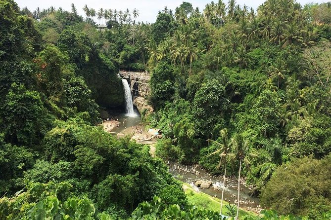 Bali Night Market Experience and Ubud Highlights tour - Tegalalang Rice Terrace: photos and a walk through the paddies