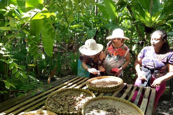 Bali Night Market Experience and Ubud Highlights tour - What the private car changes