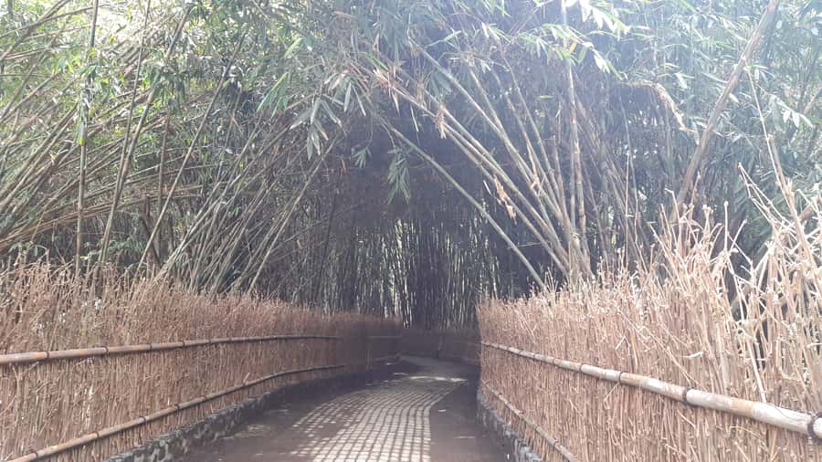 Bali: Penglipuran Village, Waterfall, and Night Market Tour - Why this nine-hour route works