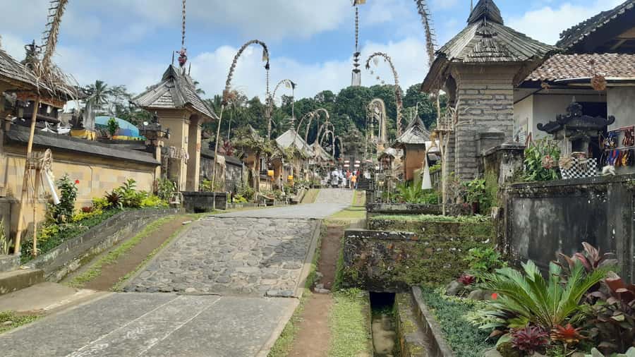 Bali: Penglipuran Village, Waterfall, and Night Market Tour - Hutan Bambu, a quiet stop with a divided appeal