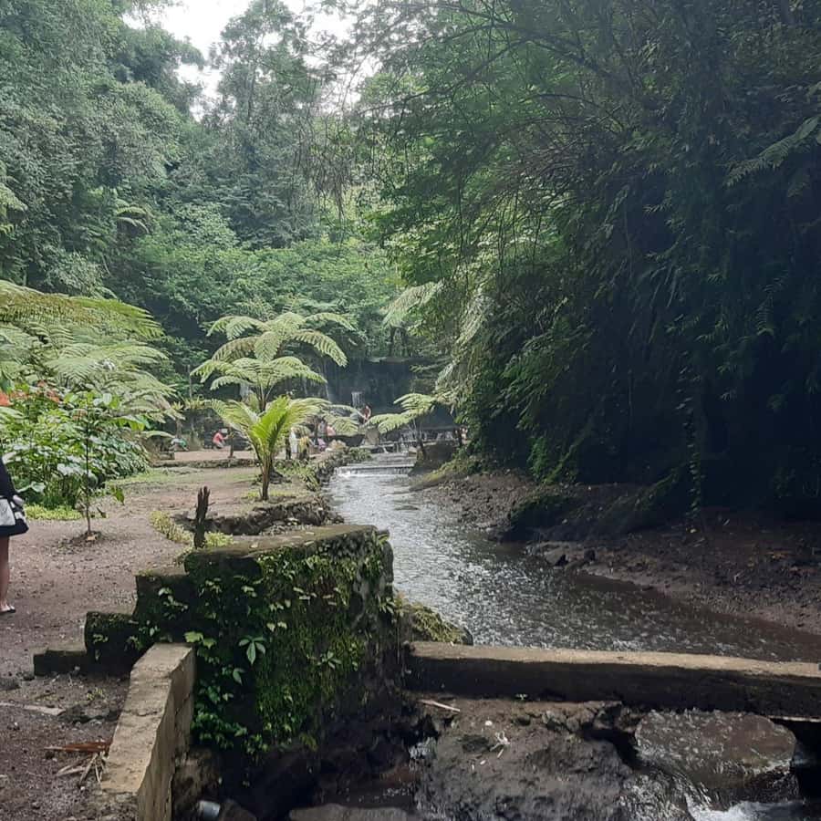 Bali: Penglipuran Village, Waterfall, and Night Market Tour - Pasar Gianyar and a food-focused finish