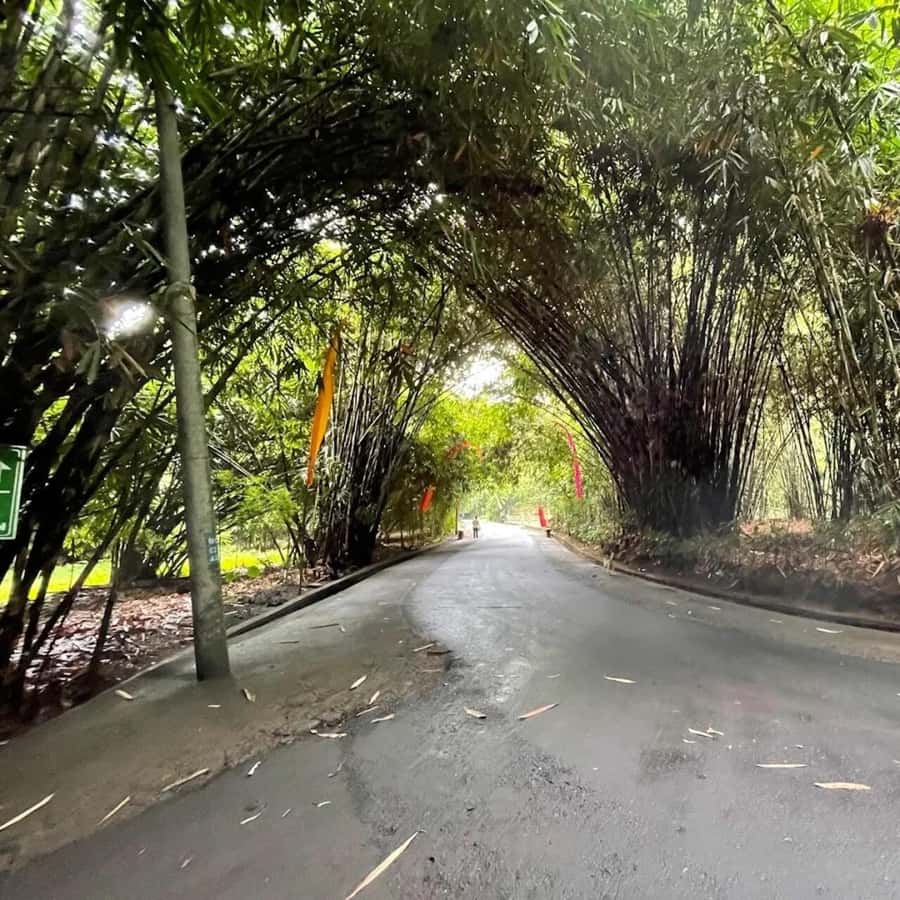 Bali: Penglipuran Village, Waterfall, and Night Market Tour - A private tour with guide Putu