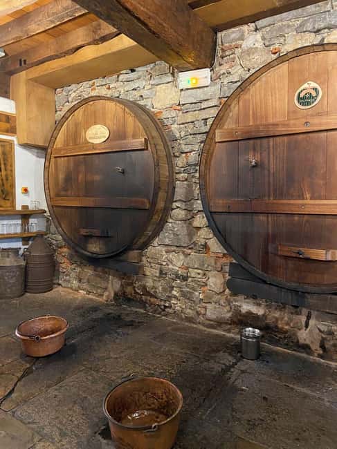 Bayonne: Guided Food Walking Tour (with Food and Drinks) - Les Halles and fresh seafood with local wine