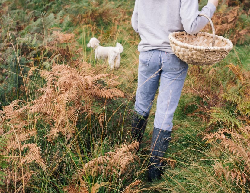 Beginner Foraging Walk: Wild food walking tour & tasters - Learning to identify plants and fungi safely