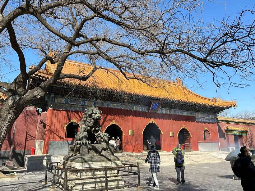 Beijing: Dim Sum Breakfast+Hutong Tour with Optional Add-Ons - Choosing the right extension after the hutong
