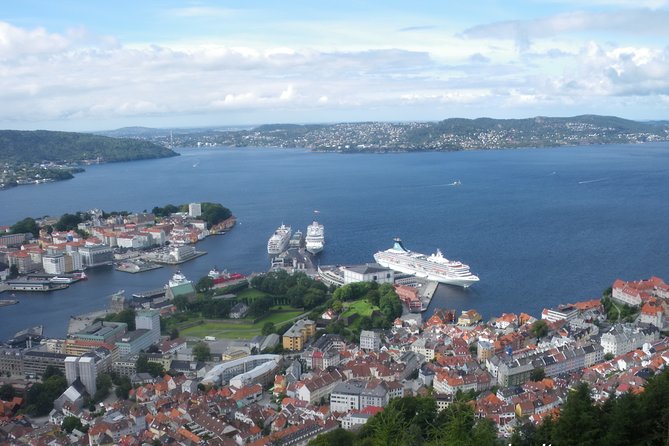 Bergen: Local food tasting & Excursion with a city view from the top - Walking through Bryggen’s narrow passages