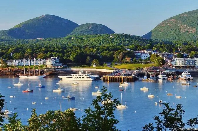 Best of Bar Harbor: 2-Hour Guided Food Walking Tour - Who will get the most from this food walk