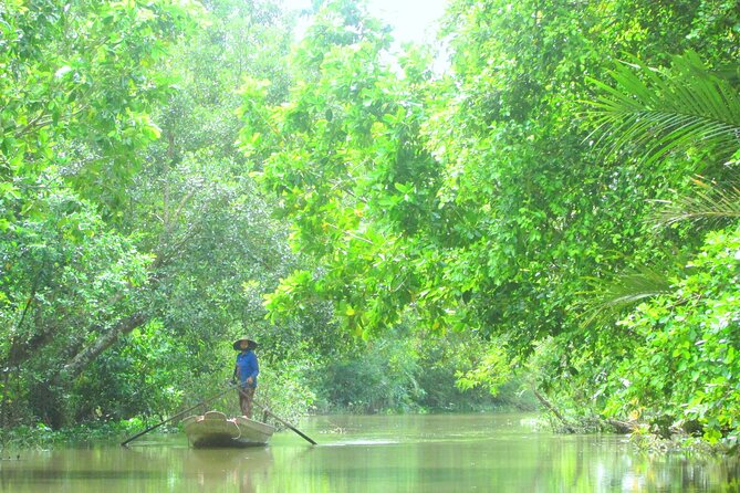 Boat tour on Mekong river see the sunset, small canal, Vegan dinner, street food - Practical advice for a smoother outing