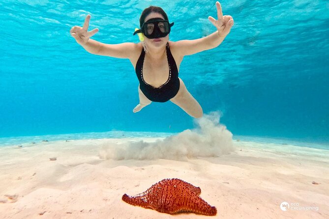 Boat Tour to Heaven in Cozumel with Ceviche - Playa El Cielo and the starfish shallows