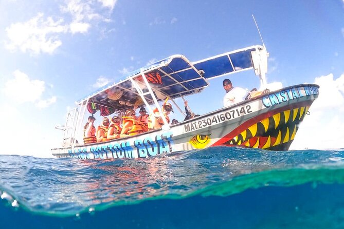 Boat Tour to Heaven in Cozumel with Ceviche - Palancar Reef brings the colorful fish