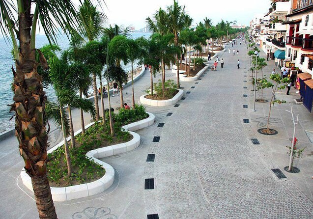Breakfast Taco Tour with a Local Foodie - A 10 a.m. start in Zona Romántica