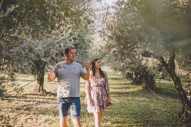 Buje: Authentic Istrian family farm, guided walk, foods & wine - Why this farm visit feels different from a standard tasting