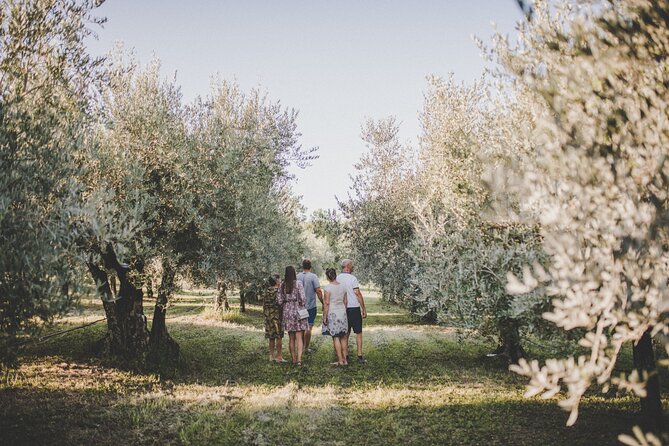 Buje: Authentic Istrian family farm, guided walk, foods & wine - Sitting beneath the tree for an Istrian meal