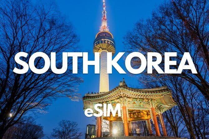 Busan: Food Crawl with Fish Market, Soju Tents & Local Snacks - Who will enjoy this evening most
