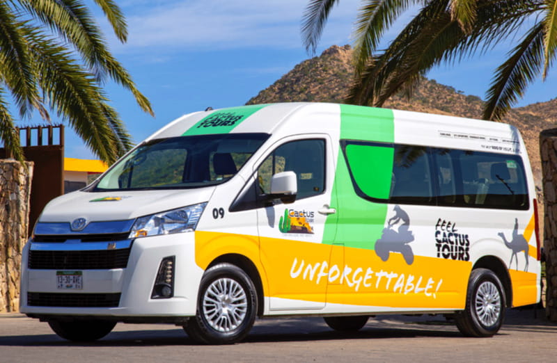 Cabo: Camel Safari Adventure with Tacos - The kids club and family fit