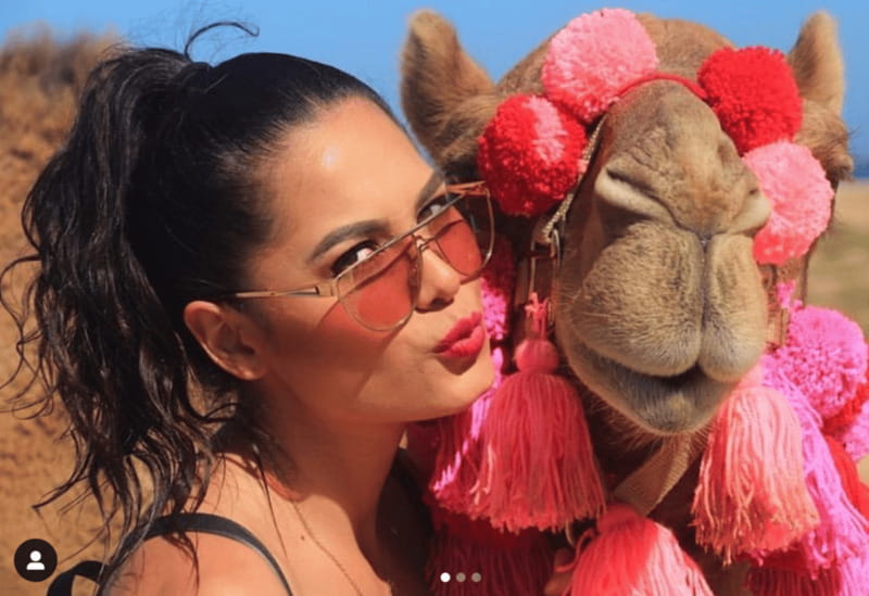 Cabo: Camel Safari Adventure with Tacos - What the $83 price really buys you