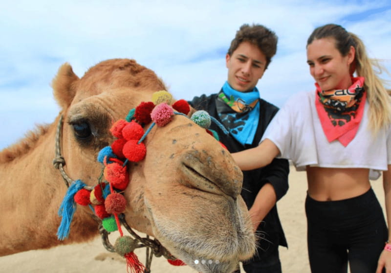 Cabo: Camel Safari Adventure with Tacos - Who will enjoy this Cabo camel safari