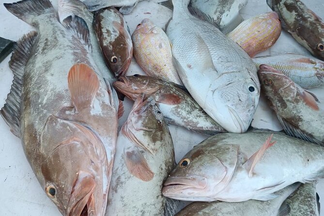 Cabo Catoche Tour with Fishing, Snorkeling and Ceviche - Cocalito brings the ceviche and slower pace