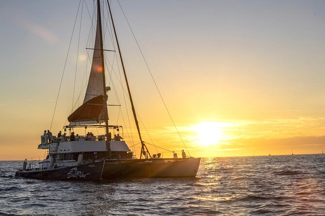 Cabo Cruise Sunset Adventure: Tacos, Margaritas & Sea Lions - Key points before you book