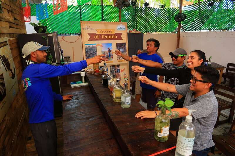 Cancún: Beachside Tacos & Town Tour with tequila tasing - A guided tequila tasting for adults
