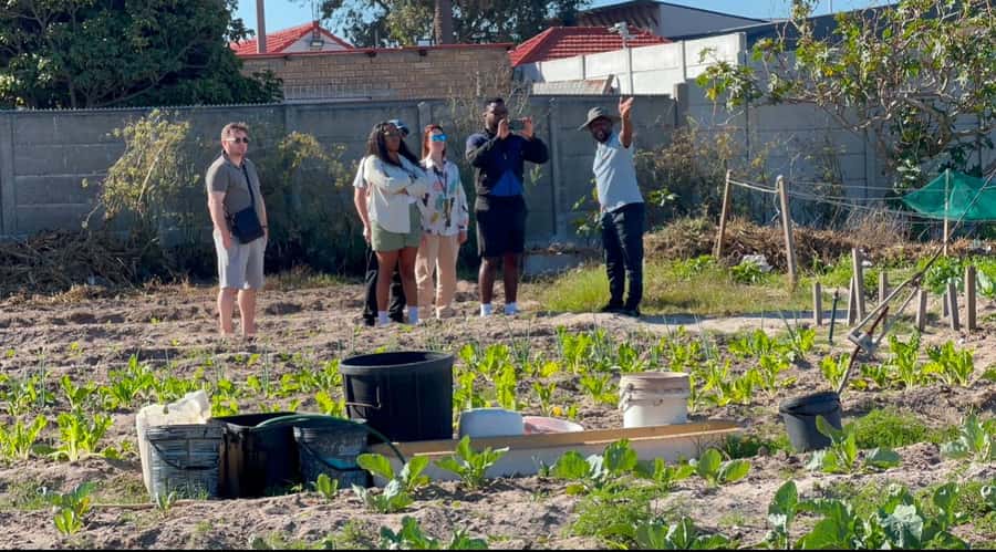Cape Town: Local street food tour - Booking details worth knowing