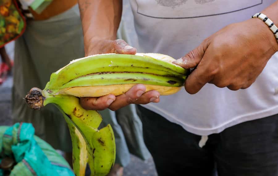 Cartagena: Street Food Walking Tour - Learning about Cartagena’s fried-food festival