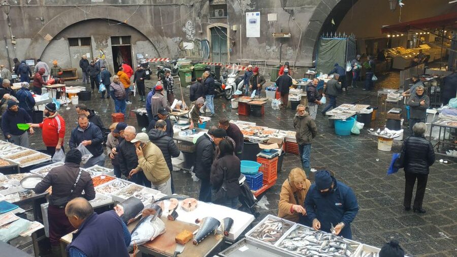 Catania Street Food Tour: Fish Market & City Centre - Cannoli, cassatella and the final sweet stop