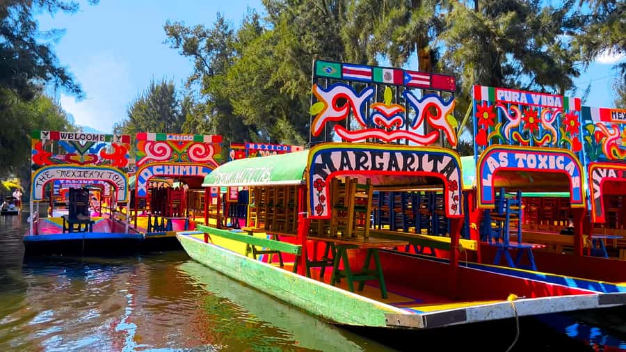CDMX: Xochimilco Trajinera Party, Drinks, Mariachi & Tacos - Drinks, dancing, and the first part of the party