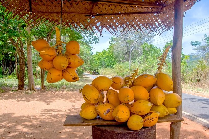 Colombo Tuk Tuk Adventure Explore Food & Culture - The gemstone museum and the limits of a short schedule