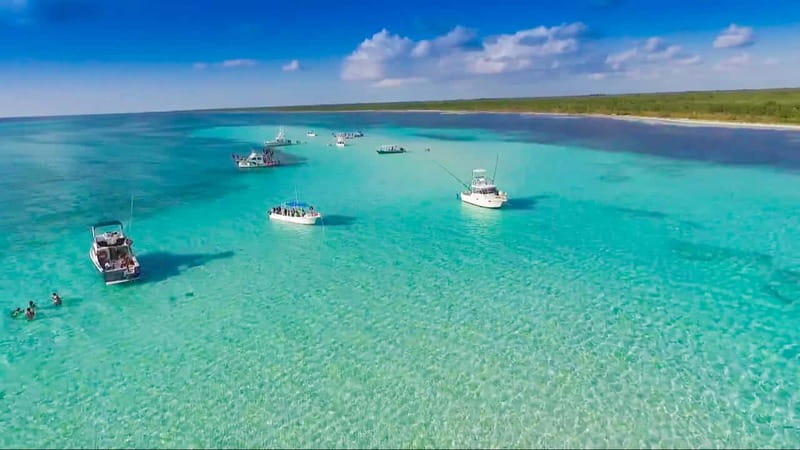 Cozumel: El Cielo & Palancar Snorkel with Open Bar & Ceviche - Palancar Reef delivers the most serious snorkeling