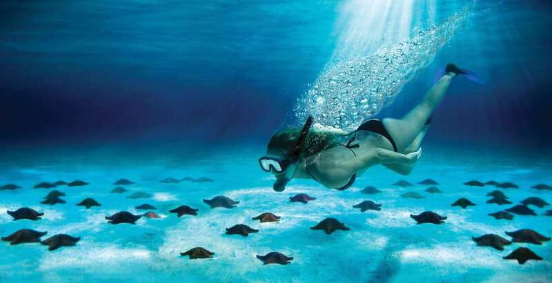 Cozumel: El Cielo & Palancar Snorkel with Open Bar & Ceviche - El Cielito adds food, fruit, and a swim break