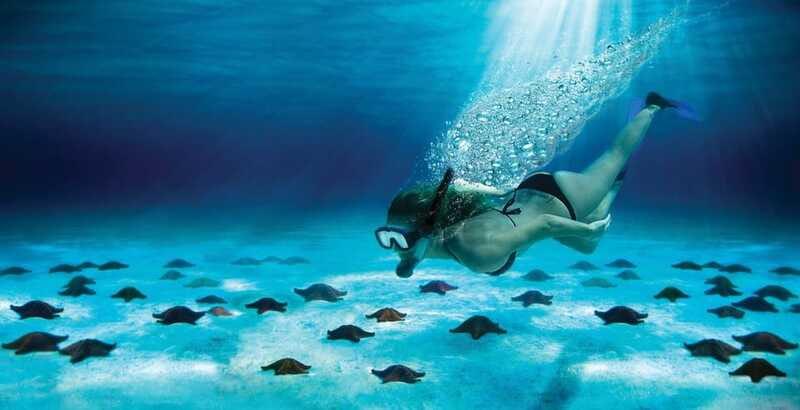 Cozumel: El Cielo & Palancar Snorkel with Open Bar & Ceviche - FAQ