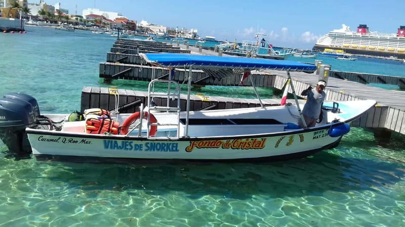 Cozumel: El Cielo & Palancar Snorkel with Open Bar & Ceviche - El Cielo is about shallow water and starfish