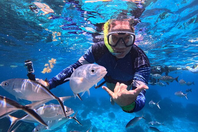 Cozumel Snorkeling Reef Experience with Ceviche and Beers - Key points to know before booking
