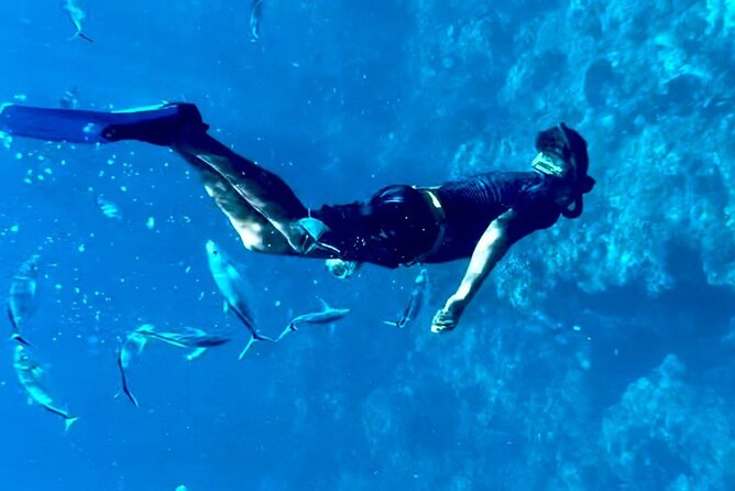 Cozumel Snorkeling Reef Experience with Ceviche and Beers - El Cielo is the calm, photogenic finale